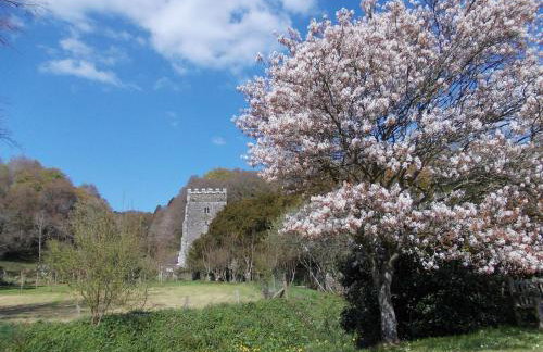 Penwaun Newport, Pembrokeshire - Foto 18