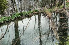 Entrance 2 Stay - Foto 12