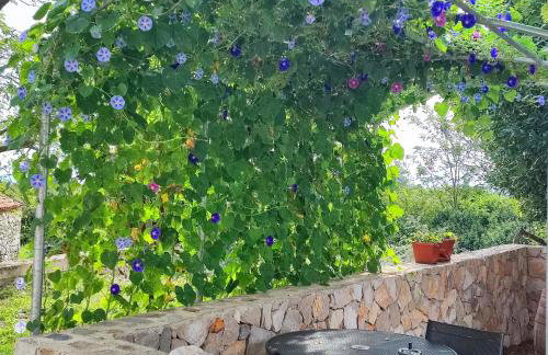 Acacia House - Cres Island - Foto 20