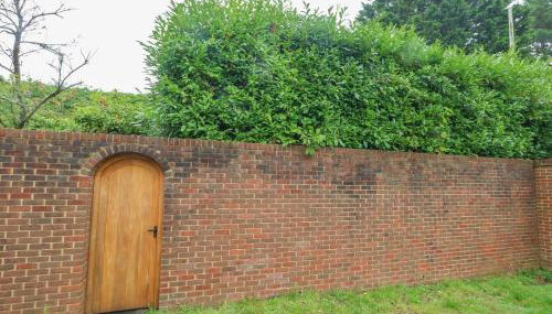 Coldharbour Farm Bungalow Annexe - Foto 2