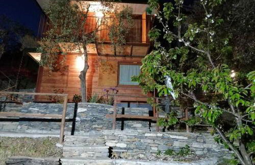 La Casetta di Molly tra ulivi e roseto - Foto 17