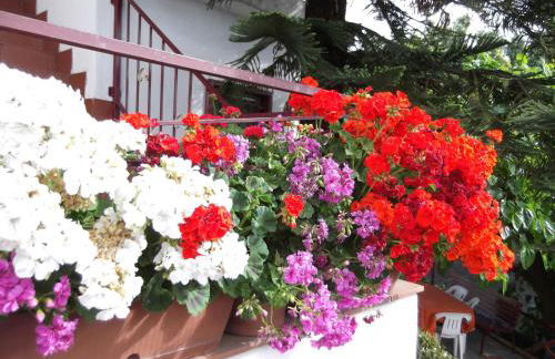 Casavacanzeinsicilia Etna Taormina - Foto 21