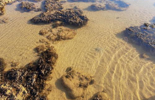 Ótimo apartamento na Praia dos Castelhanos com Wi-Fi - Foto 40