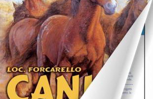 Gaia - Mare, Lago di Bolsena e Terme di Vulci - Foto 48