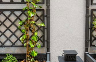 Le Cocon De Paris - Photo 7