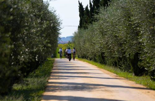 Dimora Buglioni Wine Relais - Foto 22