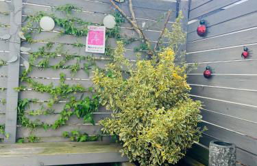 ZWEIRAUM am Deister - Foto 2