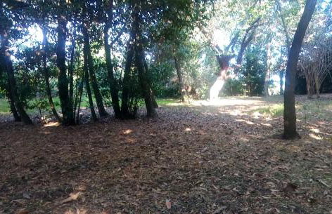 Casolare Toscano - Foto 54