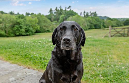 5 Bed in Dulverton oc-87003 - Foto 55