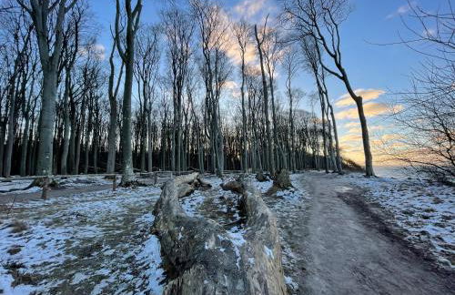 Ferienwohnungostseeblick - Foto 12