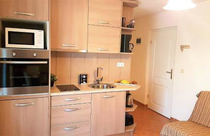 Apartment Villa Engel with Pool - Photo 50