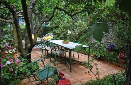 Giardino dei limoni nel Borgo di Maranola a Formia - Foto 20