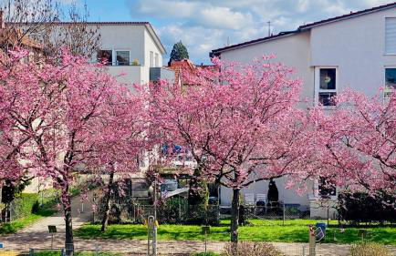 Vollausgestattete Wohnung - Foto 15