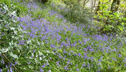 3 Bed in Fishguard oc-wav276 - Foto 5, Other