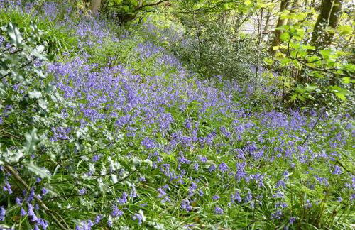 3 Bed in Fishguard oc-wav276 - Foto 5