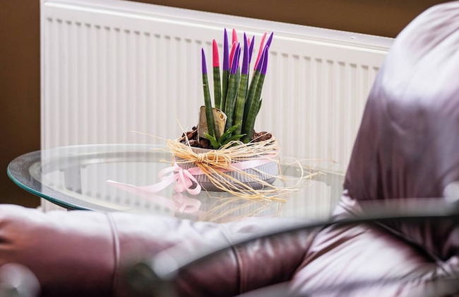 Zeusplace Maria's Olympus Apartment - Photo 20