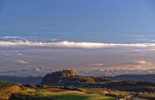 PRIMERA Apartments & Boardinghouse - Foto 25