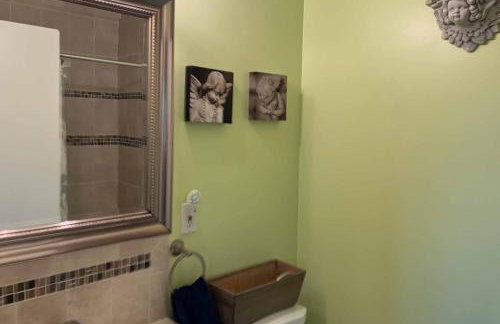 Franzone Fun - Foto 11