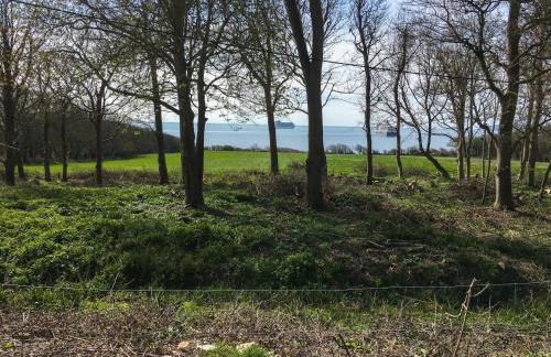 Woodlands Cottage - Photo 29