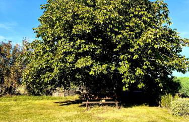 Ruhige Ferienwohnung auf dem Delcherhof in der Mosel-Weinregion - Foto 22