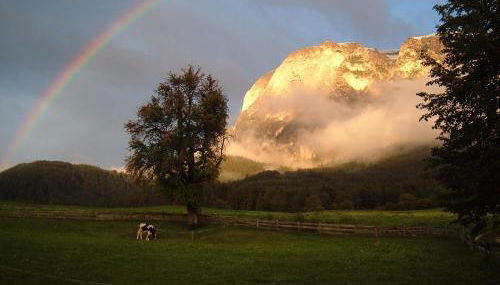 Pliegermoar - Adults Only - Foto 5, Garden