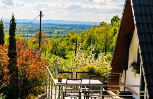 Direkt am Wald mit Panoramablick bis zur Pfalz - Foto 1
