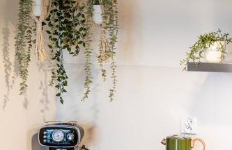 Green Boho Sienkiewicza - Foto 7