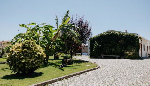 Casa dos meus avós -Villas - Gaia & Porto - Foto 3