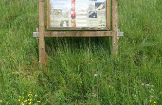 Ferienwohnung Schwarzwaldgrün - Photo 13