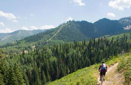 MOUNTAIN FAVORITE - ASPEN RIDGE, HOT TUB, FULL VIEW OF SKI SLOPES, WOOD BURNING FIREPLACES - Foto 24