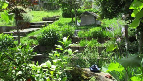 Ferienwohnung Wendel - Foto 3, Garden, Garden view