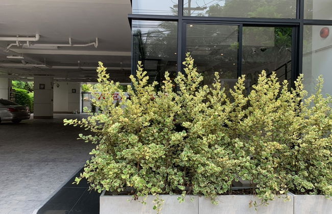 Pacific Residence 39 - Foto 59