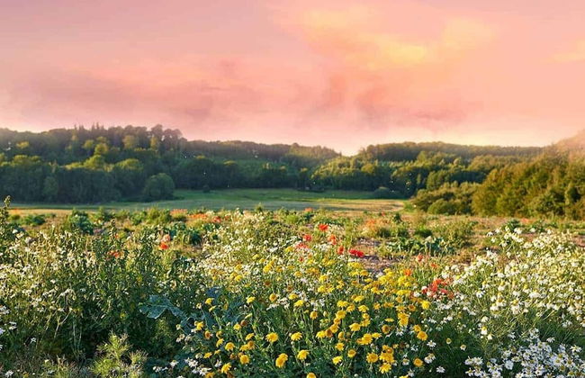 Holiday Home in Belczna Near Lake and Forests - Foto 37