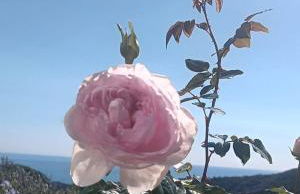 TraMonti e Mare, vista mare giardino, la casa che in ogni stagione si trasforma! - Foto 7