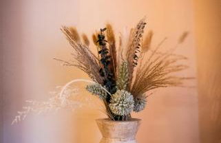 HURACAN La Antilla - Photo 7