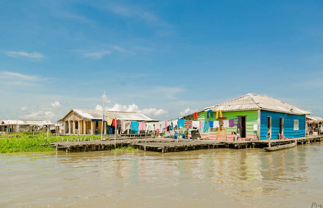 Tour por la Ciénaga Grande de Santa Marta - Foto 5