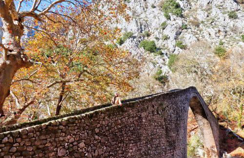 Country Home Genesi 20 min from Trikala - Foto 76