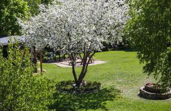 Apartamenty Osowa nad jeziorem Okmin - Foto 69