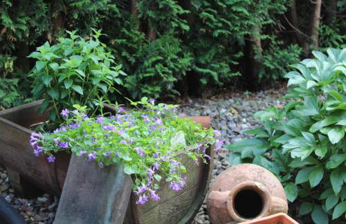 Ferienwohnung Rabenstein - Foto 28