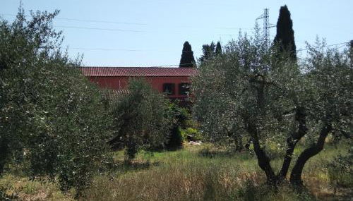 la casa di Rosa - Foto 5, Garden