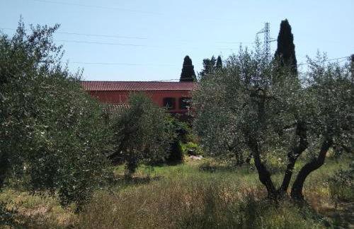 la casa di Rosa - Foto 5