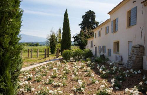 Château La Croix Des Pins - Foto 6