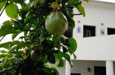 Lazy Lizard by the Ocean - Foto 9