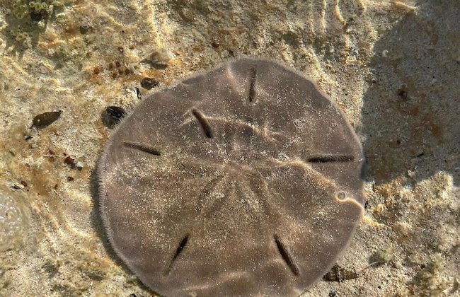 Winfield Manor 3 Bedroom Home - Foto 17