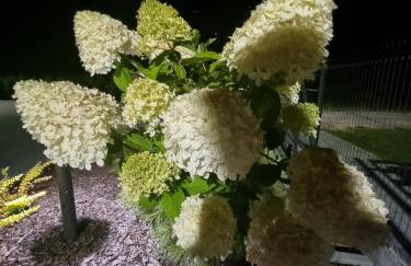 Zacisze Mazurskie - Foto 5