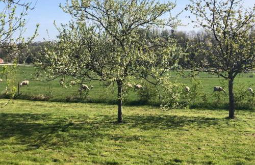 Holiday Home in Grand Est - Foto 18