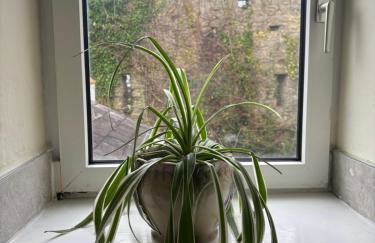 Tenby Victorian Villa with parking, pets allowed - Photo 40