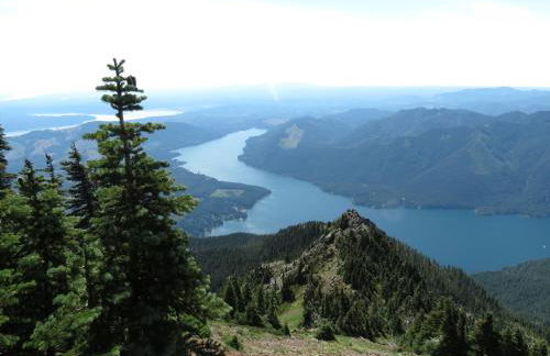 Fireside Escape at Lake Cushman - Photo 33