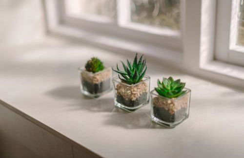 Corffe House and Holiday Cottages - Foto 64