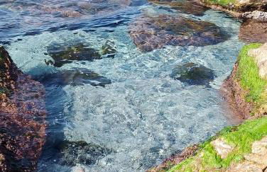 Villa Maya - Photo 48